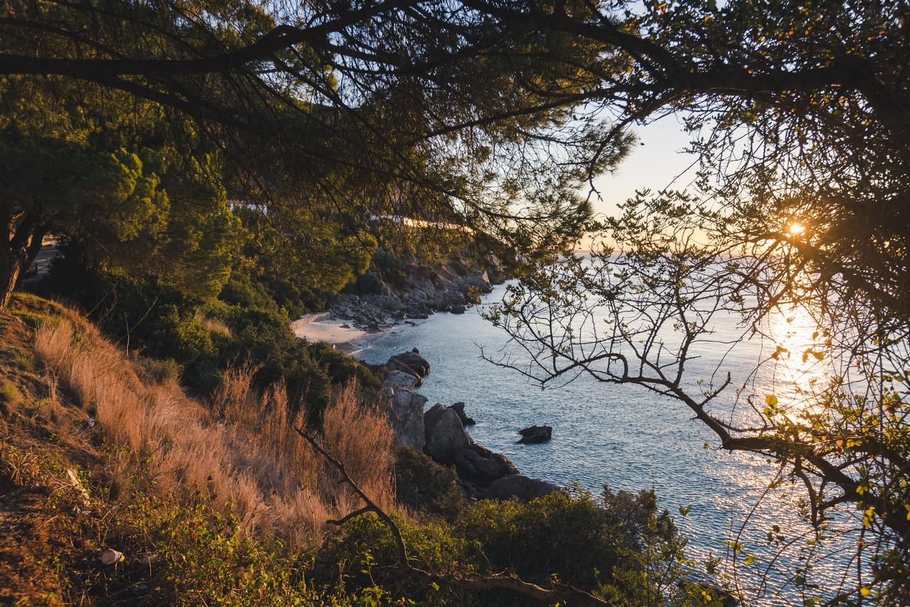 Hotel Arangues Setúbal Dış mekan fotoğraf